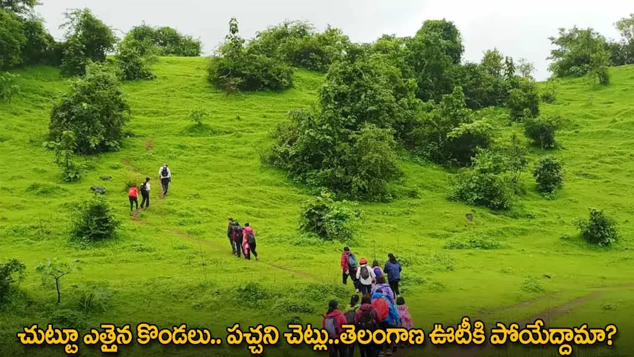 Telangana Ooty : చుట్టూ ఎత్తైన కొండలు.. పచ్చని చెట్లు..తెలంగాణ ఊటీకి పోయేద్దామా? Telangana Ooty : చుట్టూ ఎత్తైన కొండలు.. పచ్చని చెట్లు..తెలంగాణ ఊటీకి పోయేద్దామా?