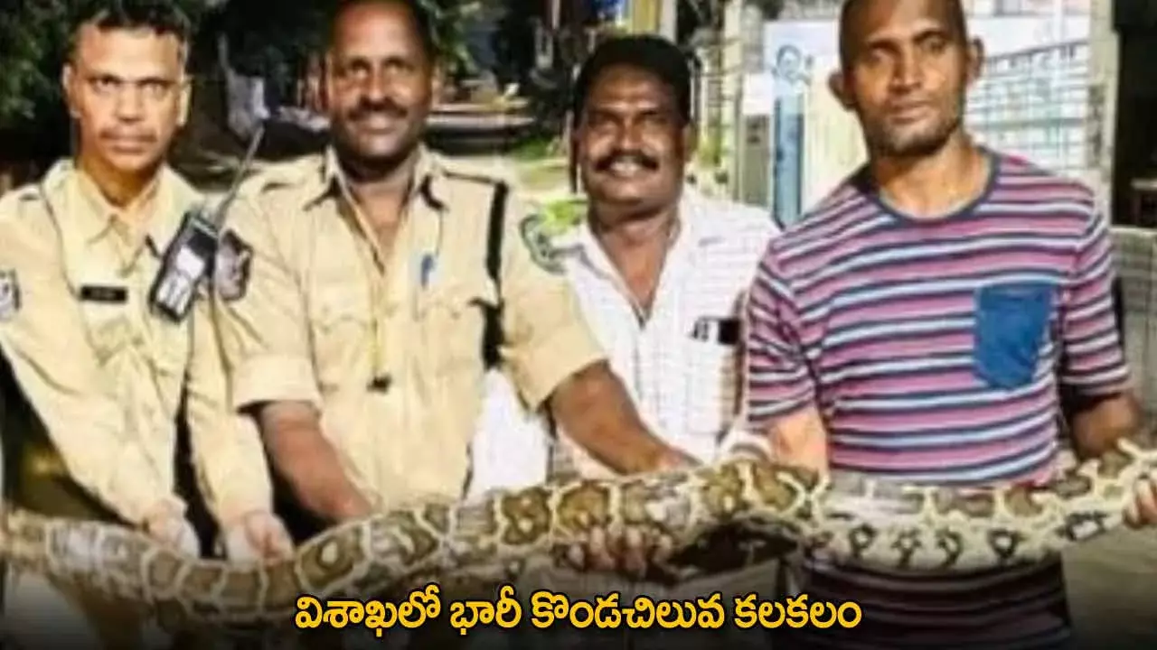 AP : విశాఖలో భారీ కొండచిలువ కలకలం AP : విశాఖలో భారీ కొండచిలువ కలకలం