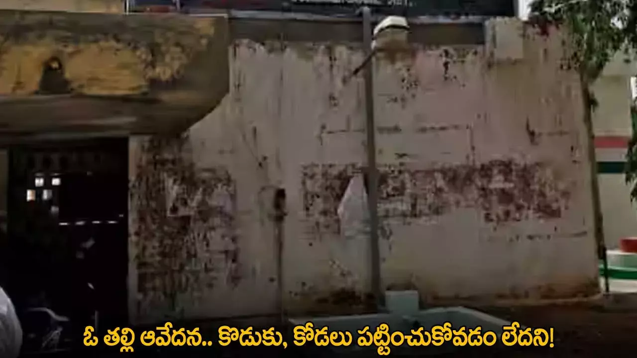 ఓ తల్లి ఆవేదన.. కొడుకు, కోడలు పట్టించుకోవడం లేదని!