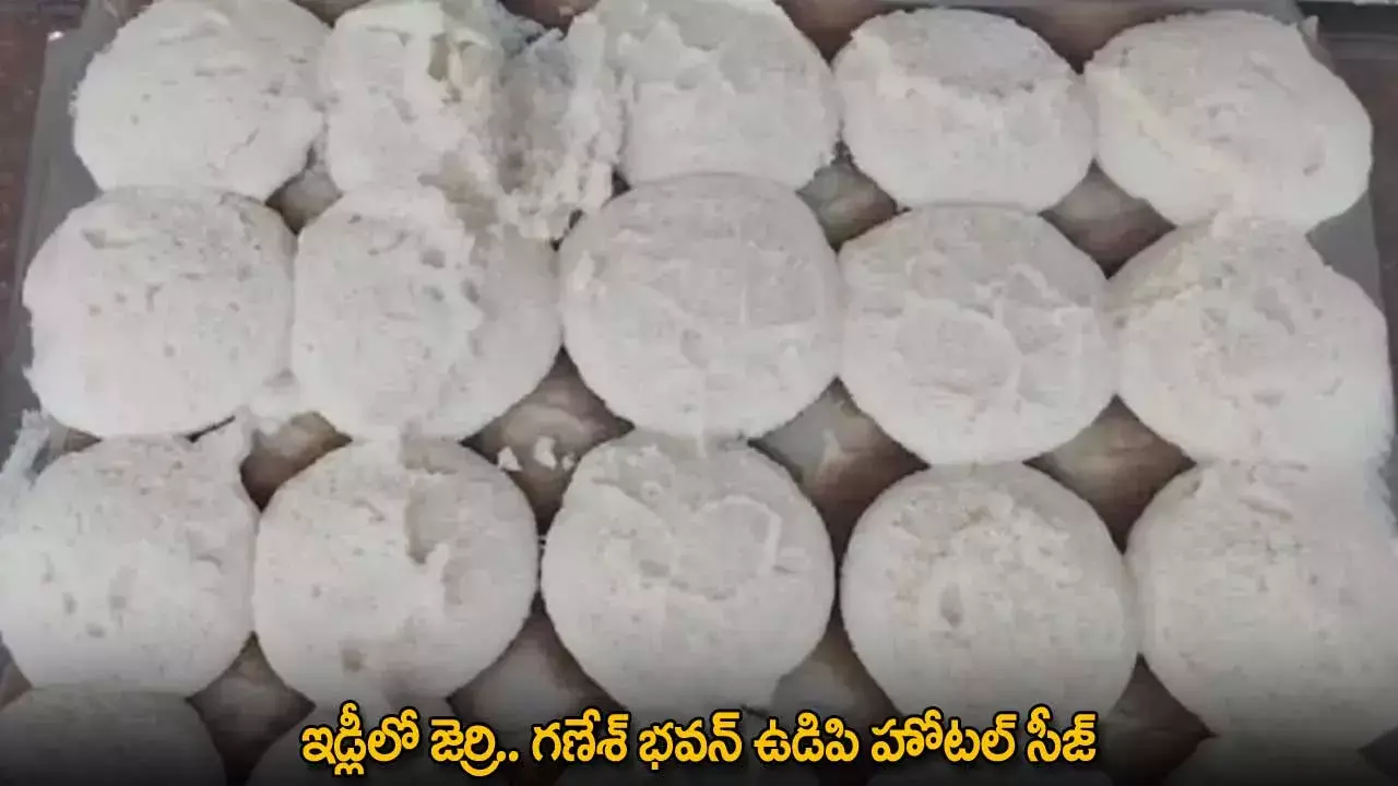 Telangana Hotel Incident : ఇడ్లీలో జెర్రి.. గణేశ్ భవన్ ఉడిపి హోటల్ సీజ్