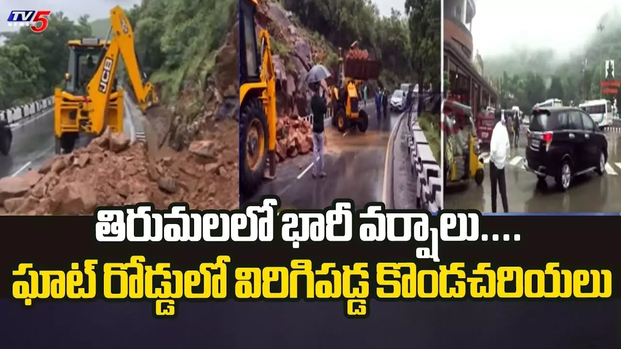 TTD : తిరుమలలో దంచికొడుతున్న వానలు.. భక్తులకు అలర్ట్ TTD : తిరుమలలో దంచికొడుతున్న వానలు.. భక్తులకు అలర్ట్