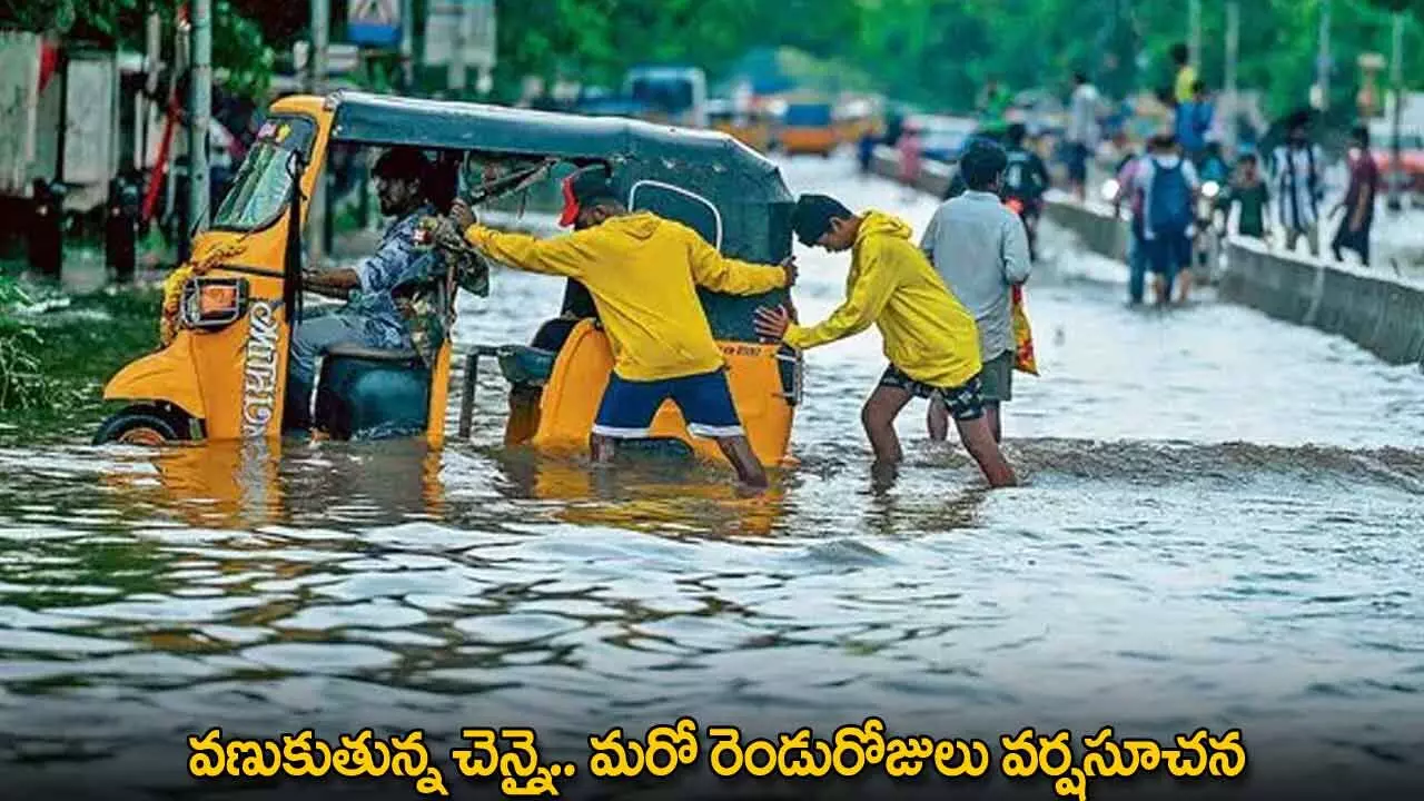 Chennai Rains : వణుకుతున్న చెన్నై.. మరో రెండురోజులు వర్షసూచన Chennai Rains : వణుకుతున్న చెన్నై.. మరో రెండురోజులు వర్షసూచన