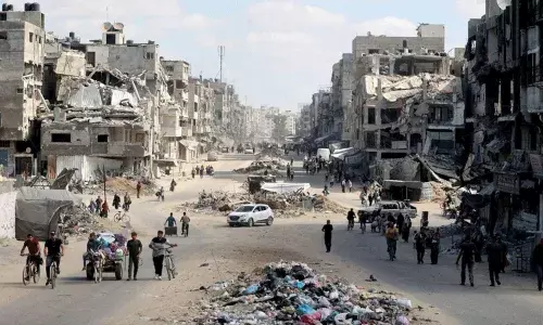 గాజా యుద్ధ వీధుల్లో భయంకర దృశ్యం.. మృత దేహాలను తింటున్న వీధి కుక్కలు.. గాజా యుద్ధ వీధుల్లో భయంకర దృశ్యం.. మృత దేహాలను తింటున్న వీధి కుక్కలు..