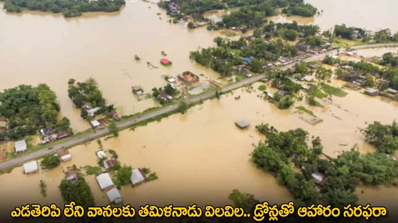 Chennai Floods : ఎడతెరిపి లేని వానలకు తమిళనాడు విలవిల.. డ్రోన్లతో ఆహారం సరఫరా Chennai Floods : ఎడతెరిపి లేని వానలకు తమిళనాడు విలవిల.. డ్రోన్లతో ఆహారం సరఫరా
