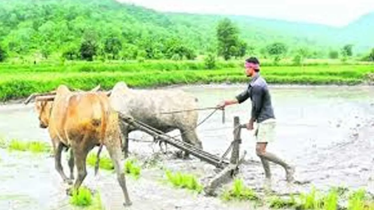 TG : రైతు బంధు నిధులు ఇంకెప్పుడు? బీఆర్ఎస్ ఆగ్రహం TG : రైతు బంధు నిధులు ఇంకెప్పుడు? బీఆర్ఎస్ ఆగ్రహం