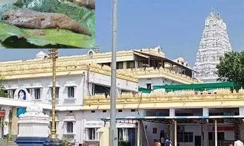 Annavaram Temple : అన్నవరం ప్రసాదం కల్తీ..? భక్తుల ఆందోళన