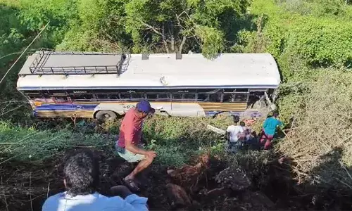Road Accident: పులివెందుల వద్ద లోయలో పడిన ఆర్టీసీ బస్సు..