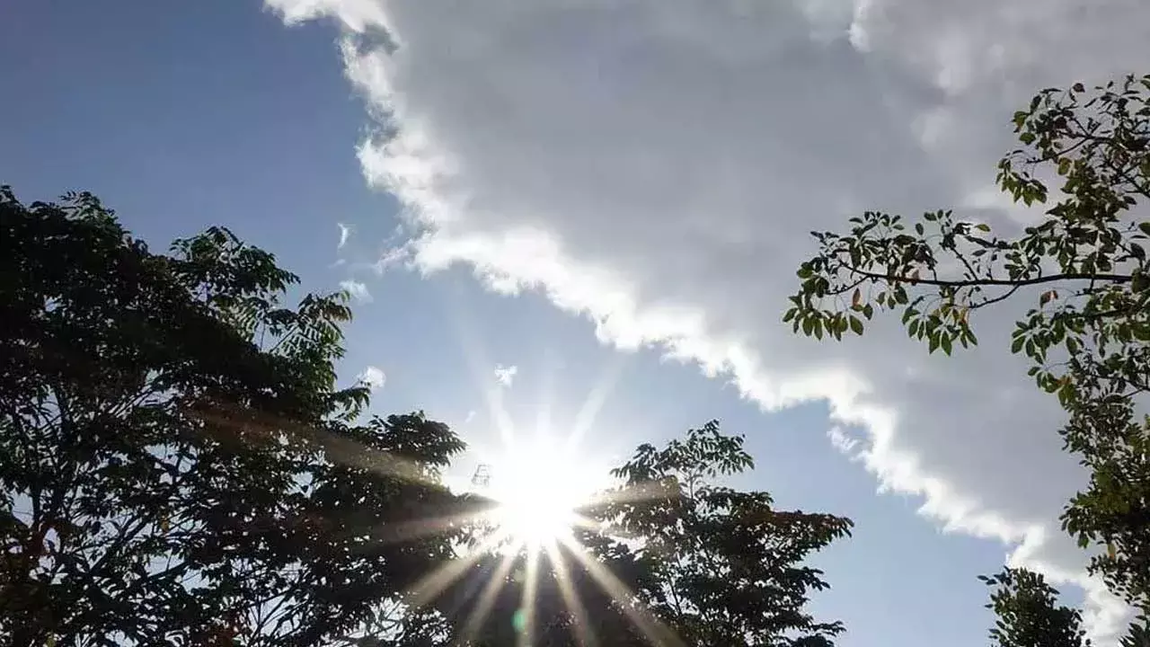 TG : తెలంగాణలో రాత్రి చలి.. మధ్యాహ్నం ఎండ.. పలుచోట్ల వాన