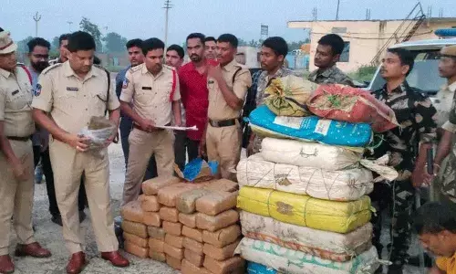 ఆసిఫాబాద్‌లో రూ.72.50 లక్షల విలువైన గంజాయిని పట్టుకున్న పోలీసులు.. ఒకరి అరెస్ట్