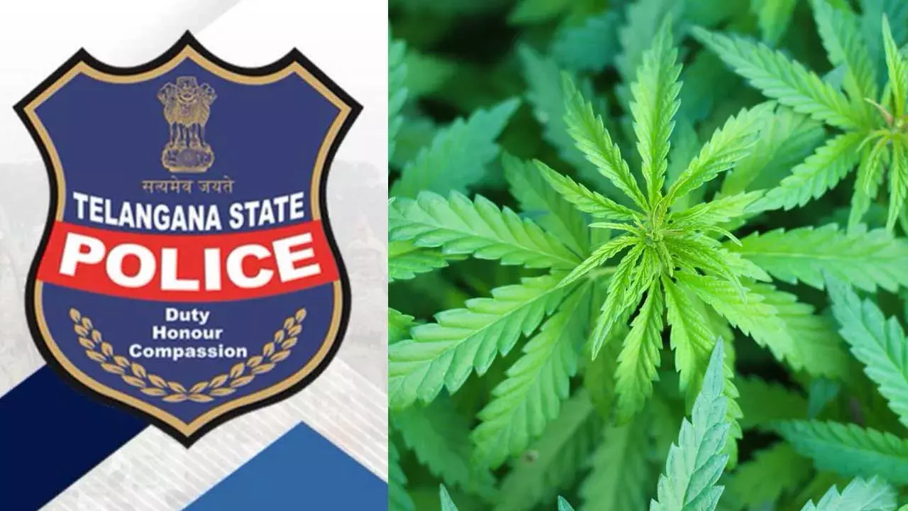 TG : గంజాయి స్మగ్లర్లతో పోలీసులకు లింకులు.. నలుగురు సస్పెన్షన్ TG : గంజాయి స్మగ్లర్లతో పోలీసులకు లింకులు.. నలుగురు సస్పెన్షన్