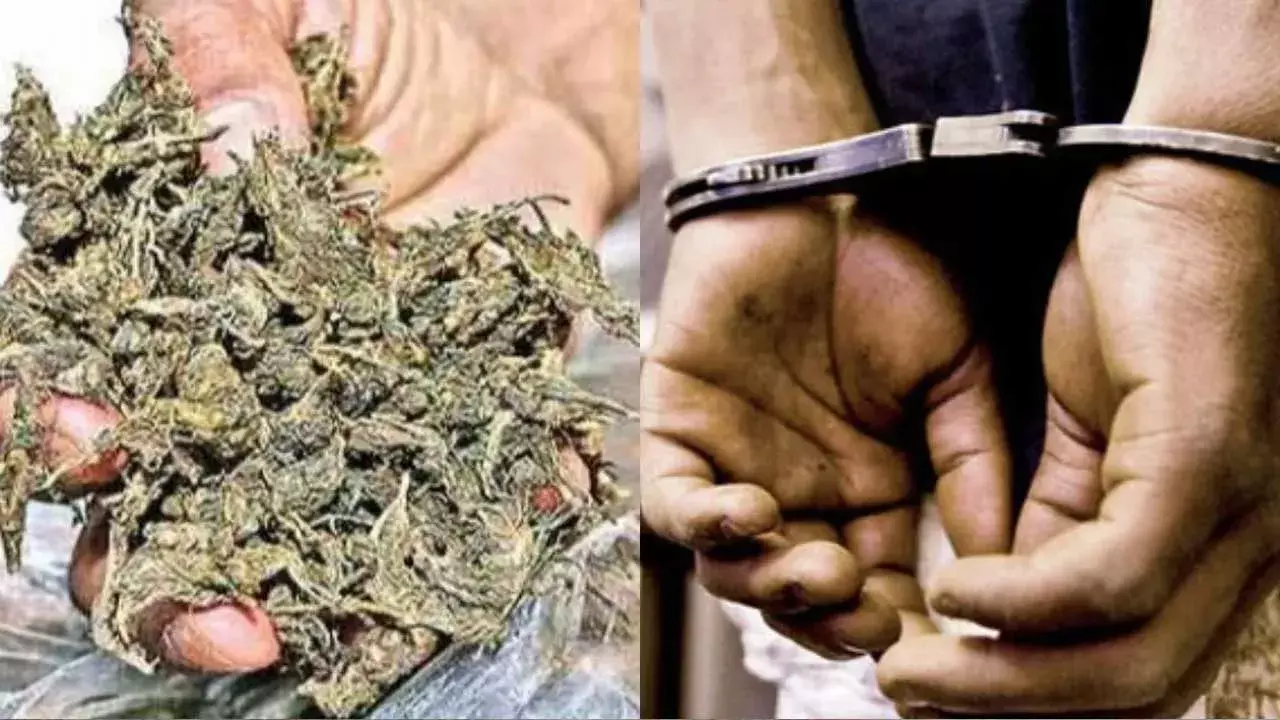 TG : గంజాయి అమ్ముతున్న కుటుంబం అరెస్ట్
