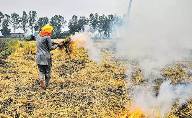 Stubble Burning: పంట వ్యర్థాల దహనం.. రైతుల జరిమానా భారీగా పెంపు Stubble Burning: పంట వ్యర్థాల దహనం.. రైతుల జరిమానా భారీగా పెంపు
