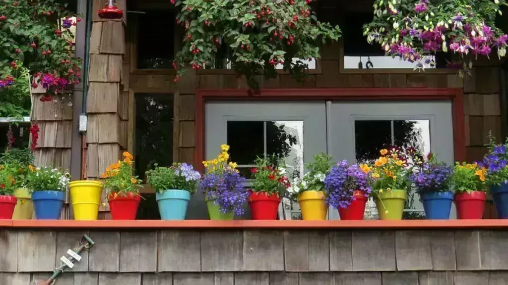 Bengaluru:  పూలకుండీలో గంజాయి మొక్కలు సాగు చేస్తున్న ఆదర్శ dampatulu