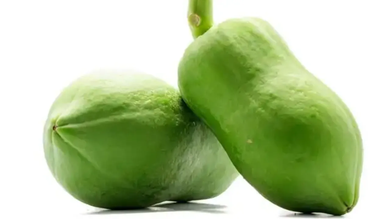 Health Benefits : పచ్చి బొప్పాయిని తింటే.. ఎన్ని ప్రయోజనాలో తెలుసా..? Health Benefits : పచ్చి బొప్పాయిని తింటే.. ఎన్ని ప్రయోజనాలో తెలుసా..?