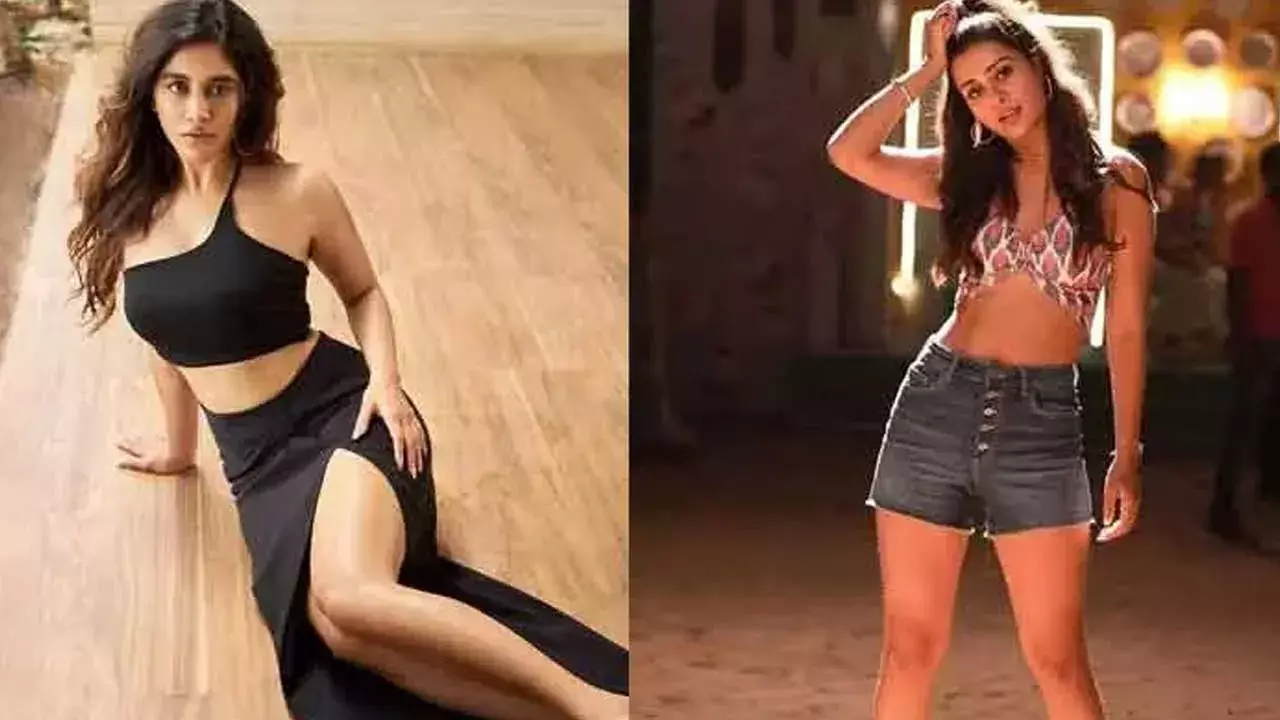 Nabha Natesh : నాభా లవ్ అఫైర్ అంటూ ఫొటోలతో రచ్చ