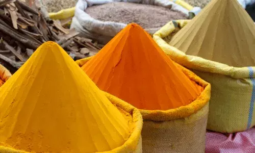 పసుపులో కలుపుతున్న సీసం.. పిల్లల తెలివితేటలపై ప్రభావం