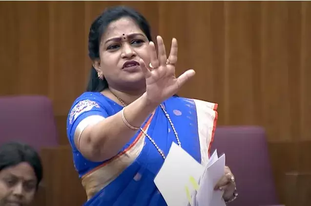 AP: అసలు దిశా చట్టం ఉందా: హోంమంత్రి