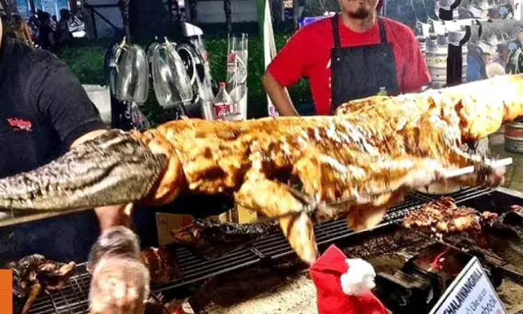 ఆ దేశ ప్రజలు మొసలి మాంసాన్ని ఇష్టంగా తింటారట.. ఔషధాల తయారీలోనూ..