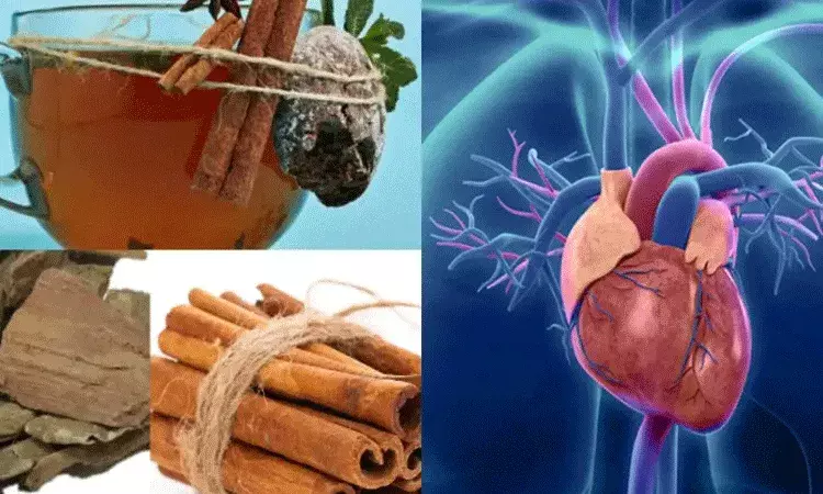 హార్ట్ బ్లాక్‌ను తొలగించే డికాక్షన్.. మరిన్ని ప్రయోజనాలు..