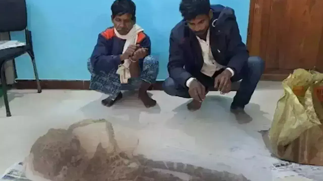 Leopard:  పులిని చంపి మటన్ వండుకు తిన్న వేటగాళ్లు. Leopard:  పులిని చంపి మటన్ వండుకు తిన్న వేటగాళ్లు.