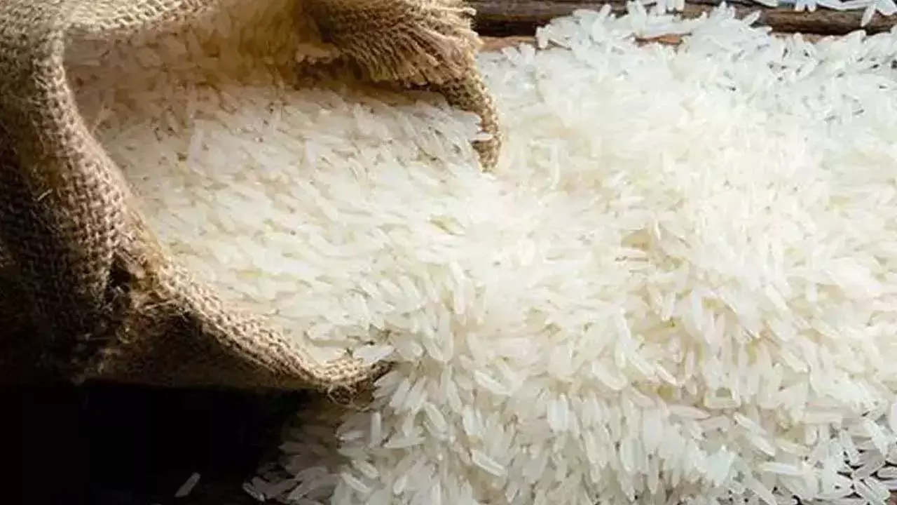 Minister Seethakka : జనవరి నుంచి సన్న బియ్యం : మంత్రి సీతక్క Minister Seethakka : జనవరి నుంచి సన్న బియ్యం : మంత్రి సీతక్క