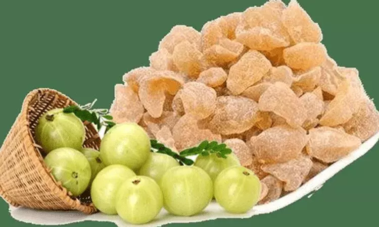 శీతాకాలపు సూపర్‌ఫుడ్‌ ఉసిరి మురబ్బా.. అనేక ఆరోగ్య ప్రయోజనాలు..