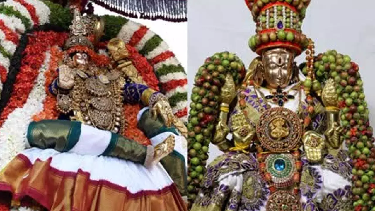 Tiruchanur : ముత్యపు పందిరిపై పద్మావతమ్మ