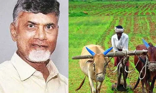 AP : ఏపీ రైతులకు కూటమి సర్కారు శుభవార్త.. త్వరలో అకౌంట్లలోకి రూ.20,000 AP : ఏపీ రైతులకు కూటమి సర్కారు శుభవార్త.. త్వరలో అకౌంట్లలోకి రూ.20,000