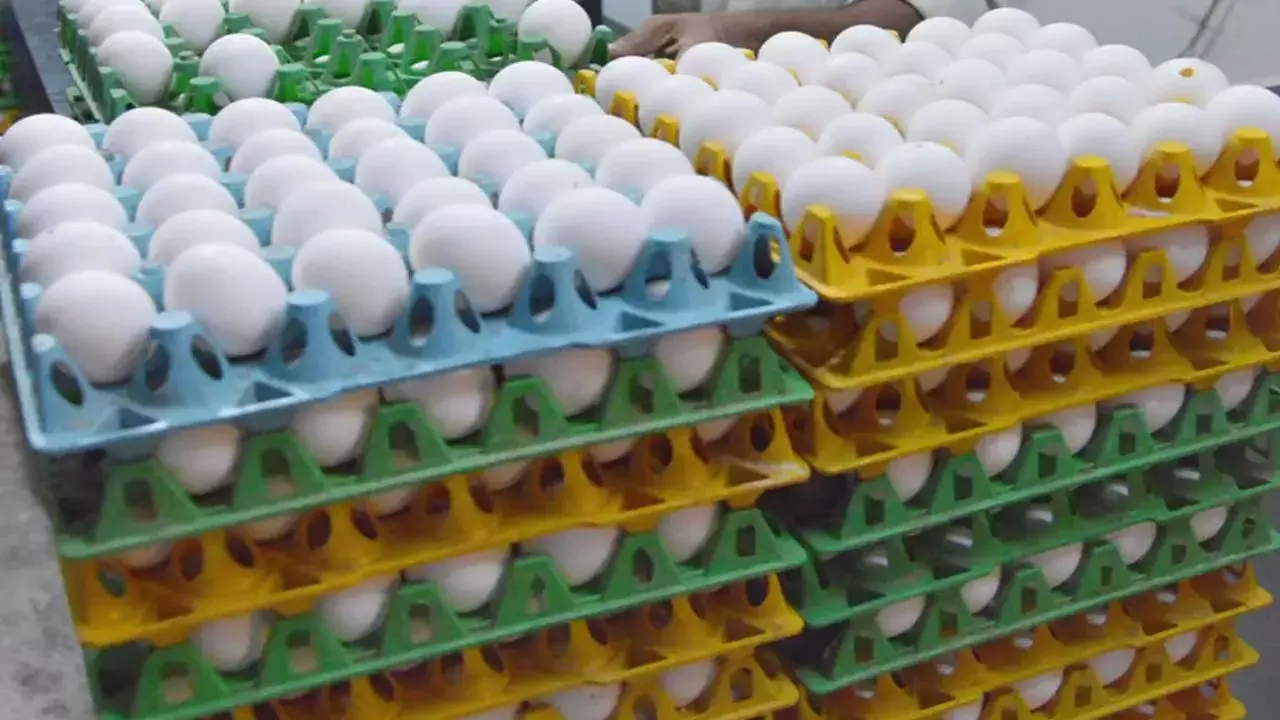 Egg Prices : భారీగా పెరిగిన కోడిగుడ్ల ధరలు Egg Prices : భారీగా పెరిగిన కోడిగుడ్ల ధరలు