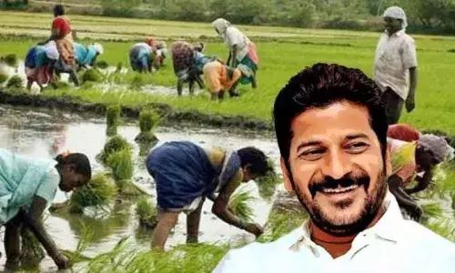 TG: రైతు కూలీల లెక్కలు తీస్తోన్న రేవంత్ సర్కార్ TG: రైతు కూలీల లెక్కలు తీస్తోన్న రేవంత్ సర్కార్