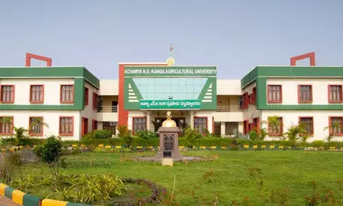 TG : తెలంగాణలో మరో అగ్రికల్చర్ కాలేజీ.. ఎక్కడంటే? TG : తెలంగాణలో మరో అగ్రికల్చర్ కాలేజీ.. ఎక్కడంటే?