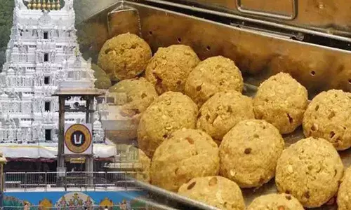 TTD : వైకుంఠ ఏకాదశి వేళ తిరుమలలో లక్షలాది లడ్డూలు రెడీ