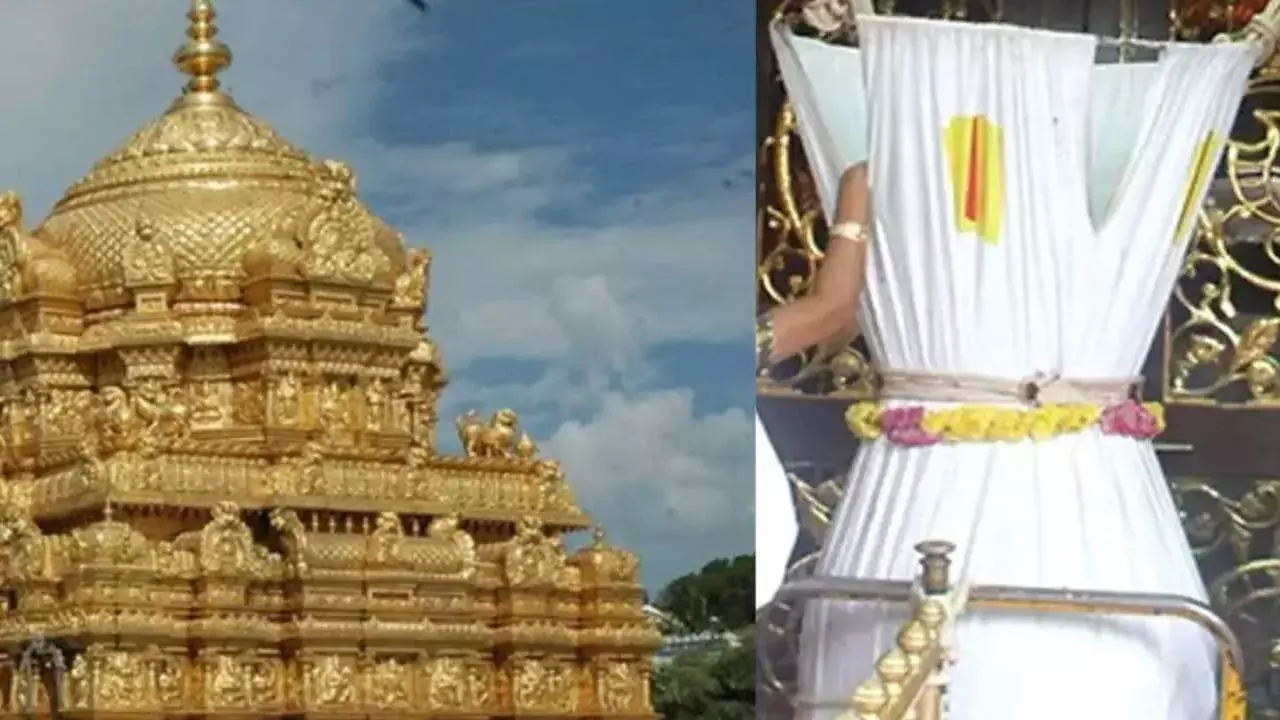 TTD : నవంబర్లో శ్రీవారి హుండీకి రూ.111.3 కోట్లు TTD : నవంబర్లో శ్రీవారి హుండీకి రూ.111.3 కోట్లు