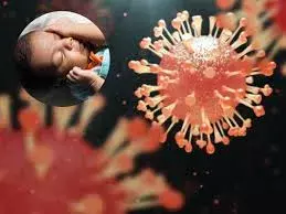 HMPV Virus: బెంగళూరులోకి ఎంట్రీ ఇచ్చినచైనా వైరస్.. 8 నెలల పాపకు హెచ్ఎంపీవీ నిర్ధారణ HMPV Virus: బెంగళూరులోకి ఎంట్రీ ఇచ్చినచైనా వైరస్.. 8 నెలల పాపకు హెచ్ఎంపీవీ నిర్ధారణ