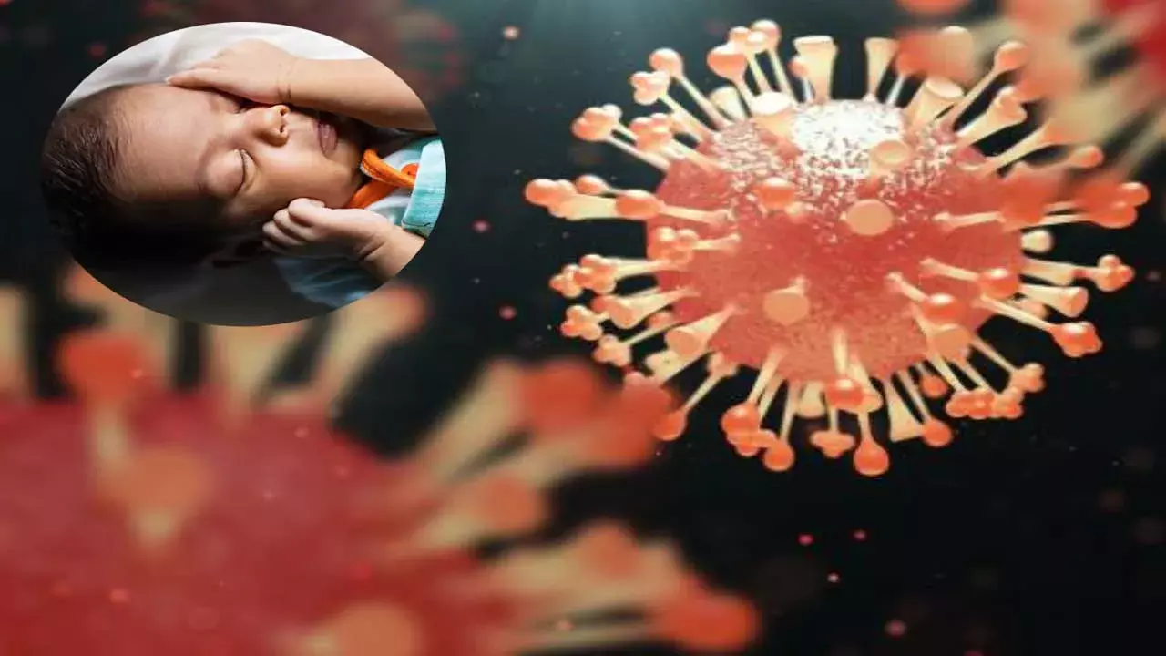 Virus : ఇండియాలో తొలి కేసు..బెంగళూరులో 8 నెలల చిన్నారిలో HMPV వైరస్ గుర్తింపు Virus : ఇండియాలో తొలి కేసు..బెంగళూరులో 8 నెలల చిన్నారిలో HMPV వైరస్ గుర్తింపు