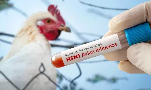 Bird Flu:  అమెరికాలో తొలి బర్డ్ ఫ్లూ మరణం.. Bird Flu:  అమెరికాలో తొలి బర్డ్ ఫ్లూ మరణం..