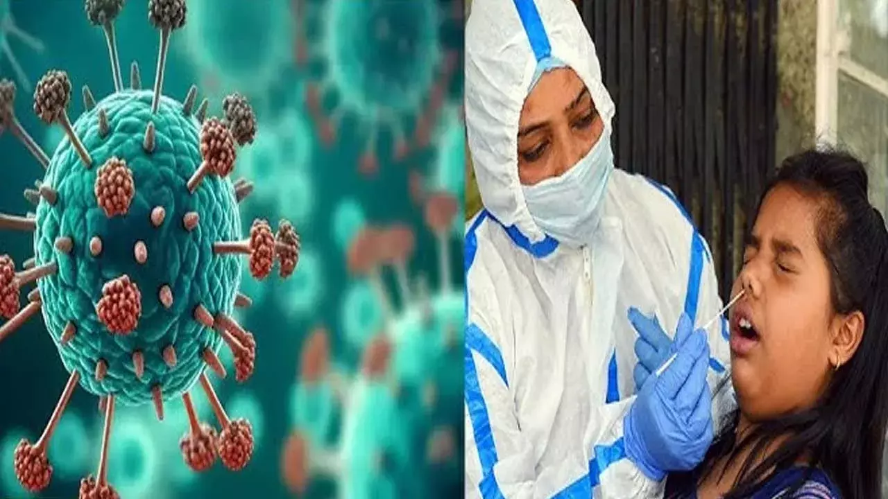 HMPV Virus in India : పిల్లలు జాగ్రత్త.. హాస్పిటళ్లకు తరలుతున్న HMPV టెస్టింగ్ కిట్స్ HMPV Virus in India : పిల్లలు జాగ్రత్త.. హాస్పిటళ్లకు తరలుతున్న HMPV టెస్టింగ్ కిట్స్