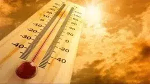 Global Warming: అత్యంత వేడి ఏడాదిగా 2024..