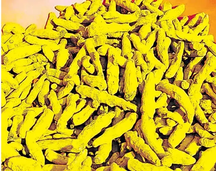 National Turmeric Board: పండుగ రోజే పసుపు బోర్డు National Turmeric Board: పండుగ రోజే పసుపు బోర్డు