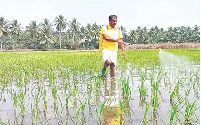 MINISTER: సాధారణ రైతు కాదు.. రాష్ట్ర మంత్రి