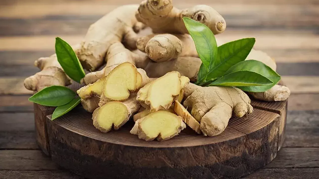 Health Benefits : చలికాలంలో అల్లం.. ఆరోగ్యానికి వరం