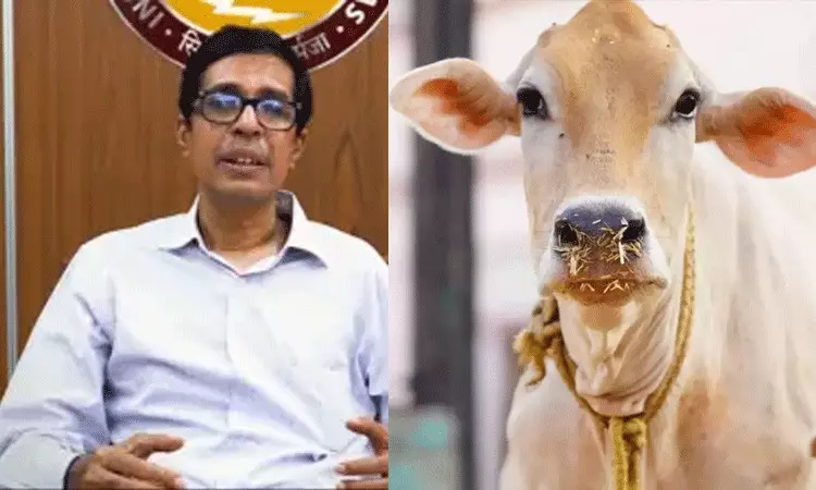 ఆవు మూత్రంలో ఔషధ విలువలు: విమర్శలను ఎదుర్కొన్న ఐఐటి మద్రాస్ డైరెక్టర్ ఆవు మూత్రంలో ఔషధ విలువలు: విమర్శలను ఎదుర్కొన్న ఐఐటి మద్రాస్ డైరెక్టర్