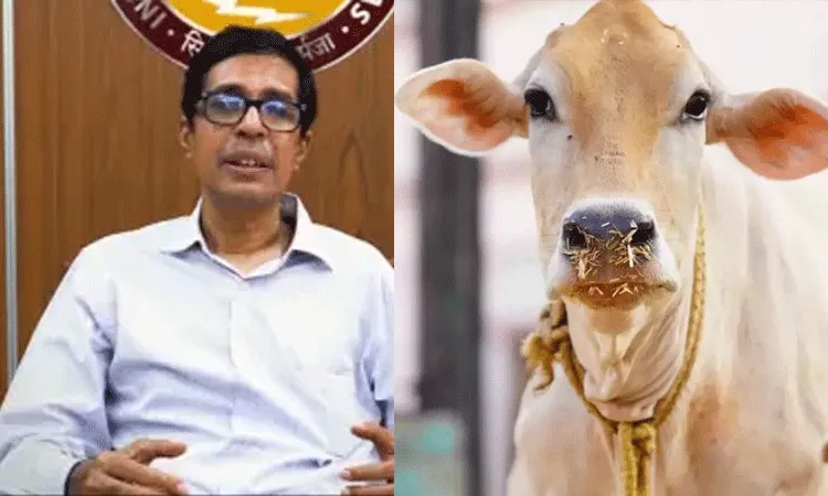 ఆవు మూత్రంలో ఔషధ విలువలు: విమర్శలను ఎదుర్కొన్న ఐఐటి మద్రాస్ డైరెక్టర్ ఆవు మూత్రంలో ఔషధ విలువలు: విమర్శలను ఎదుర్కొన్న ఐఐటి మద్రాస్ డైరెక్టర్