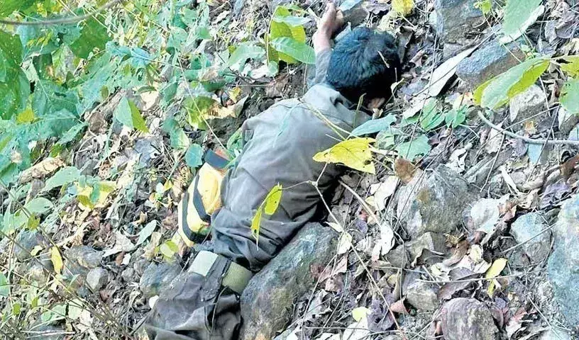 UP: ఛత్తీస్‌గఢ్‌-ఒడిశా రాష్ట్రాల సరిహద్దుల్లో భారీ ఎన్‌కౌంటర్‌.