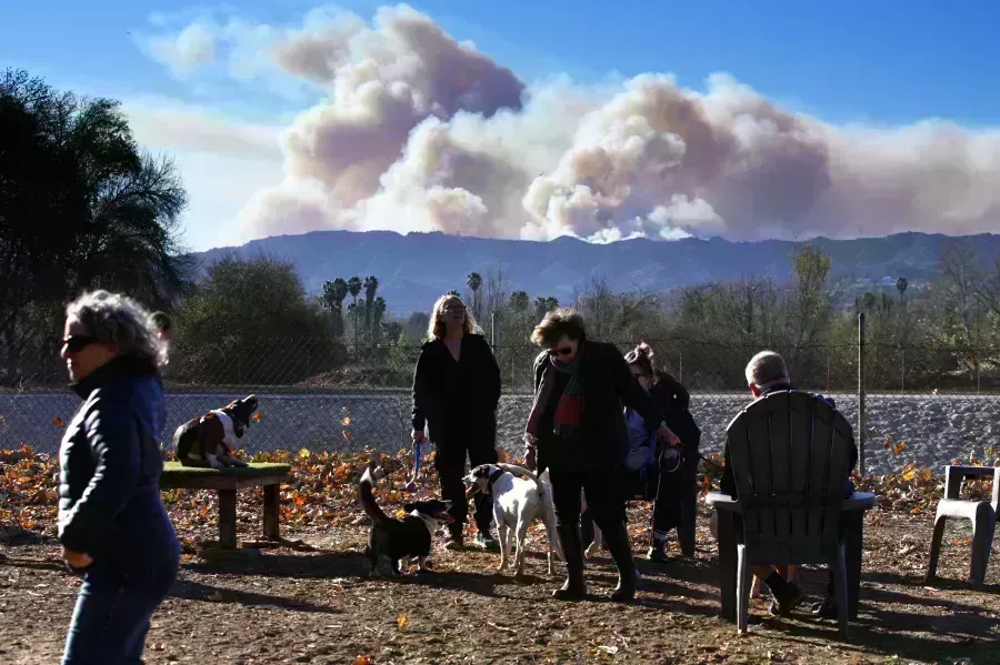 Los Angeles fires: వర్షాలు కురిసినా ఉపయోగం లేదు, సరికదా ! Los Angeles fires: వర్షాలు కురిసినా ఉపయోగం లేదు, సరికదా !