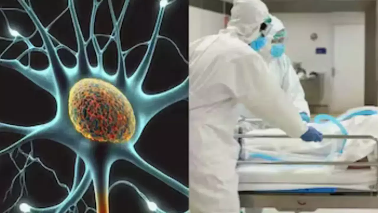 Maharashtra : మహారాష్ట్రను వణికిస్తున్న కొత్త వ్యాధి Maharashtra : మహారాష్ట్రను వణికిస్తున్న కొత్త వ్యాధి