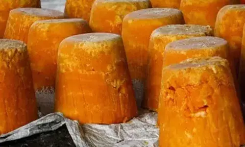 Adulterated Jaggery : కల్తీ బెల్లాన్ని గుర్తించేందుకు ఈజీ టిప్స్.