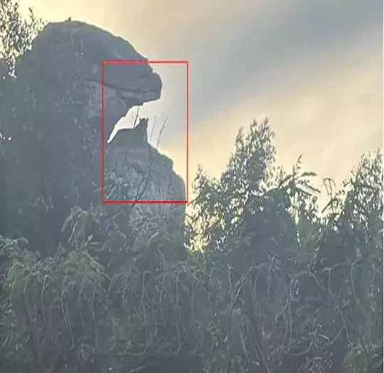 TIRUMALA: తిరుమలలో మళ్లీ చిరుత సంచారం