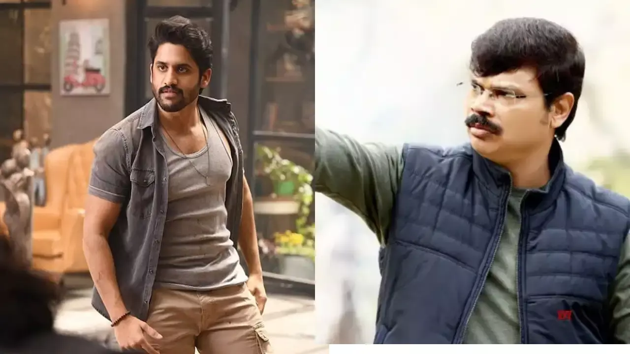 Naga Chaitanya :  బోయపాటితో నాగ చైతన్య.. స్కందను మర్చిపోయారా