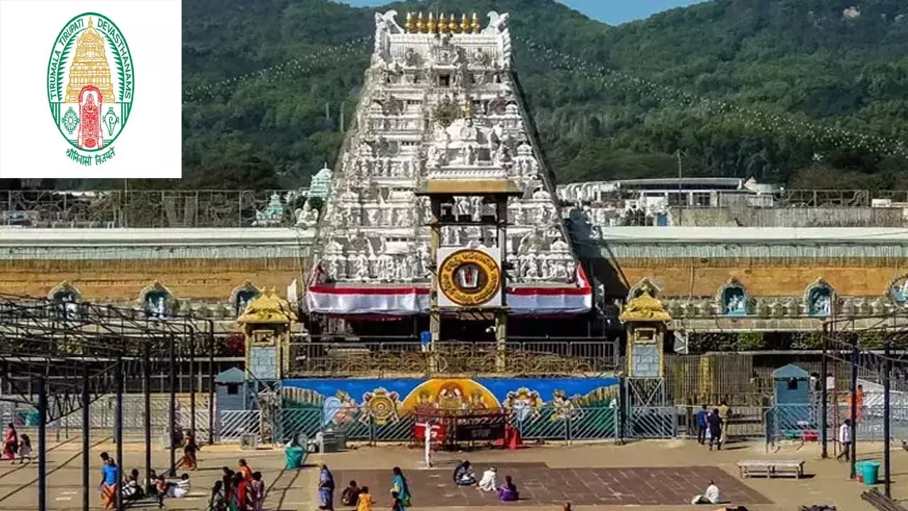TTD : తిరుమలలో స్వల్పంగా తగ్గిన భక్తుల రద్దీ